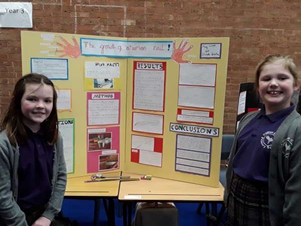 Success in Science for the Magnificent Seven! Image